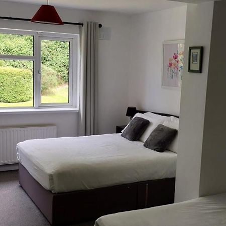 Riverfield Bed And Breakfast Gorey Exteriör bild