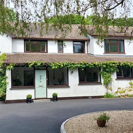 Riverfield Bed And Breakfast Gorey Exteriör bild