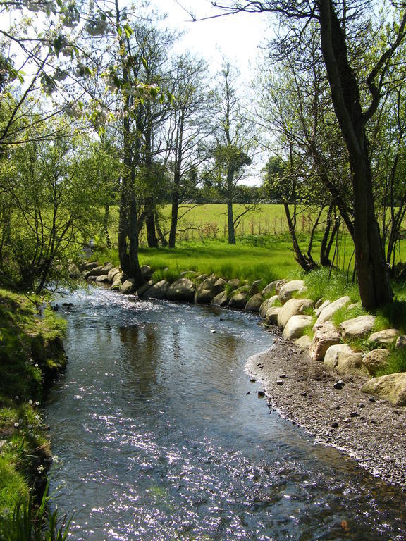 Riverfield Bed And Breakfast Gorey Exteriör bild