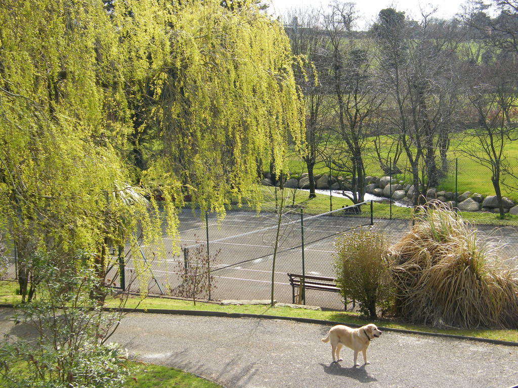Riverfield Bed And Breakfast Gorey Exteriör bild