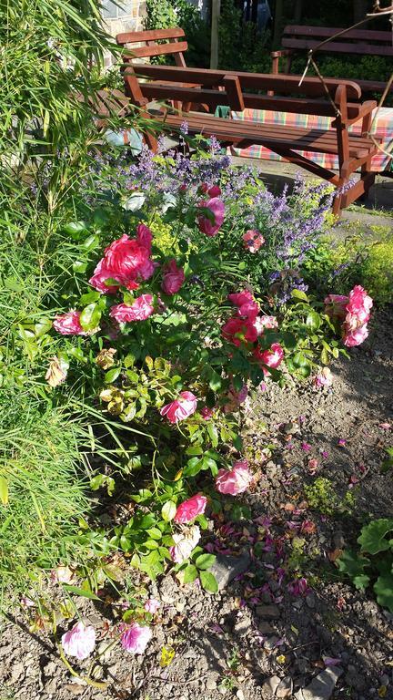 Riverfield Bed And Breakfast Gorey Exteriör bild