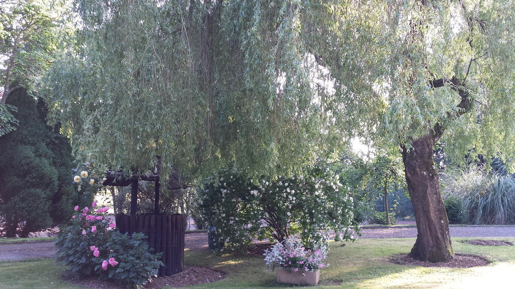 Riverfield Bed And Breakfast Gorey Exteriör bild