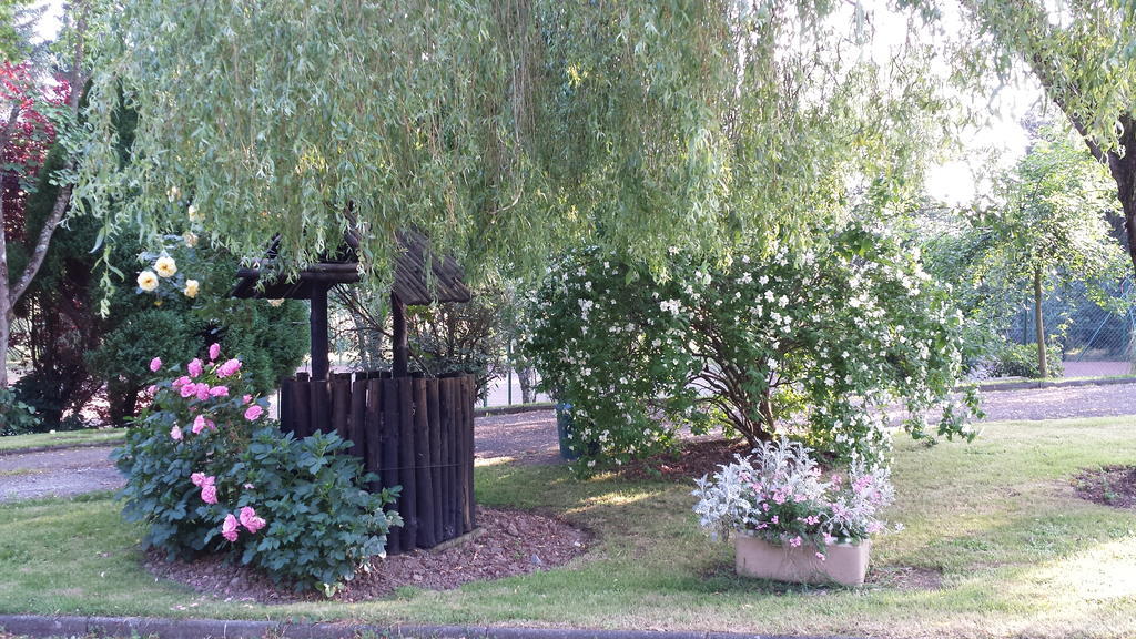 Riverfield Bed And Breakfast Gorey Exteriör bild