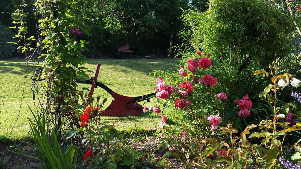 Riverfield Bed And Breakfast Gorey Exteriör bild