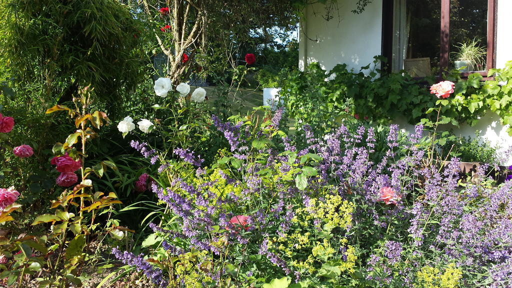 Riverfield Bed And Breakfast Gorey Exteriör bild