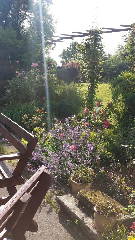 Riverfield Bed And Breakfast Gorey Exteriör bild