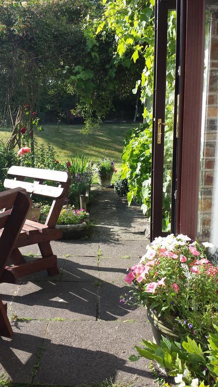 Riverfield Bed And Breakfast Gorey Exteriör bild