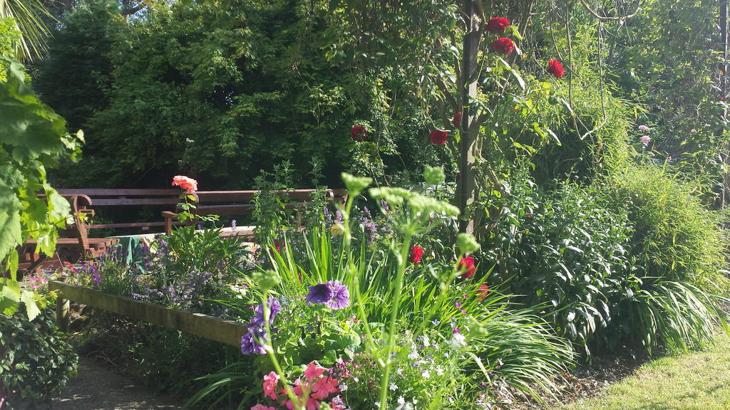 Riverfield Bed And Breakfast Gorey Exteriör bild